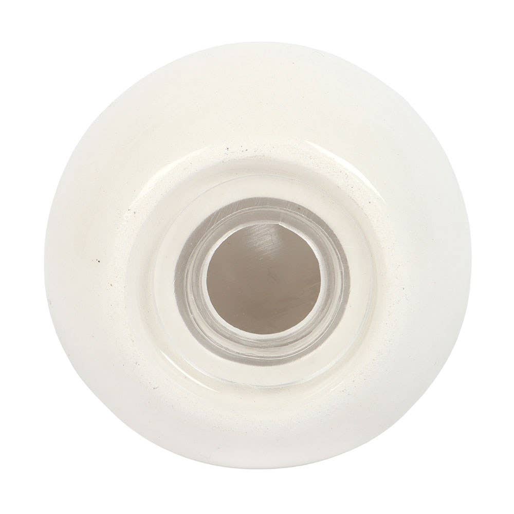 Shell Salt and Pepper Shakers