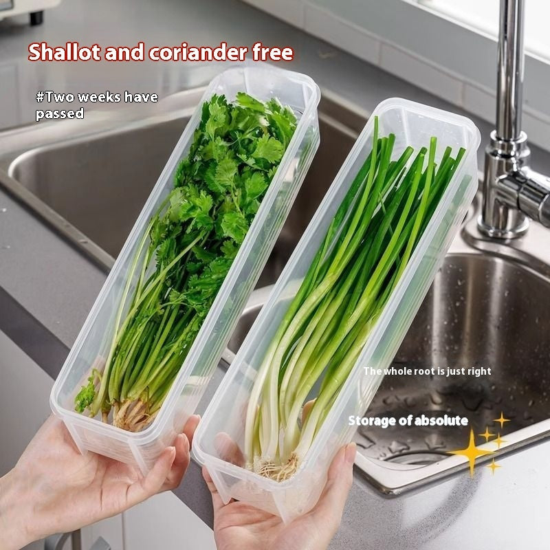 Airtight Food Storage Container for Refrigerator