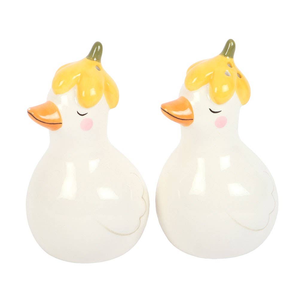 Daisy salt and pepper set