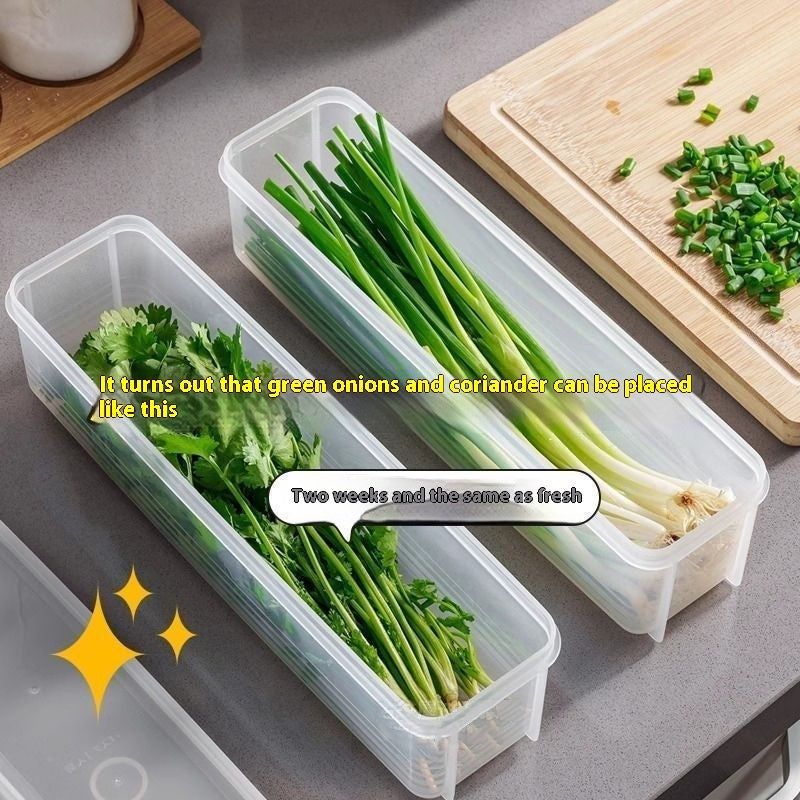 Airtight Food Storage Container for Refrigerator